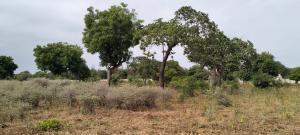 Land for sale Kilifi North Kilifi