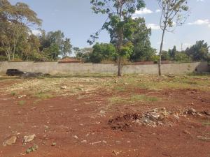 Residential Land for sale Runda Runda Nairobi