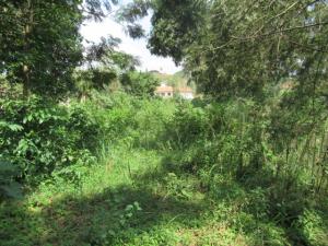 Land for sale Runda Grove Runda Nairobi