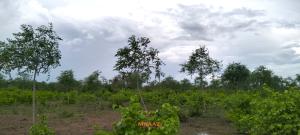 Land for sale Malindi Kilifi