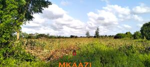 Land for sale Lamu West Lamu