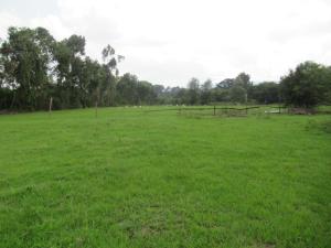 Residential Land for sale Ololua Ridge Karen Nairobi
