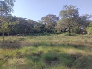 Residential Land for sale Forest Edge Rd, Karen Nairobi