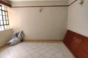 1 bedroom mini flat  Flat&Apartment for rent MBAGATHI WAY  Langata Nairobi