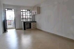 1 bedroom mini flat  Flat&Apartment for rent Ngong Rd Nairobi
