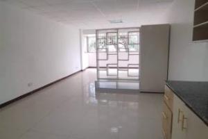 1 bedroom mini flat  Flat&Apartment for rent Kilimani Nairobi