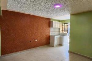 1 bedroom mini flat  Flat&Apartment for rent Ngong Kajiado