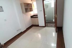 1 bedroom mini flat  Flat&Apartment for rent Kileleshwa Nairobi