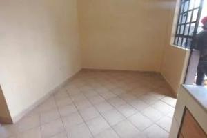 1 bedroom mini flat  Flat&Apartment for rent Riruta Nairobi
