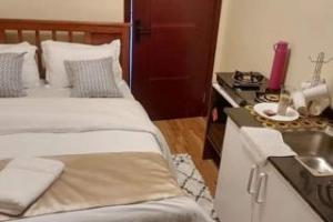 1 bedroom mini flat  Flat&Apartment for rent Kilimani Nairobi