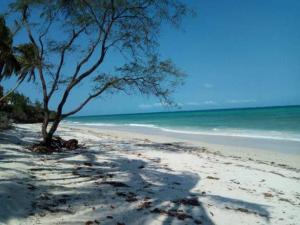 1 bedroom mini flat  Flat&Apartment for rent Nyali Area Nyali Mombasa