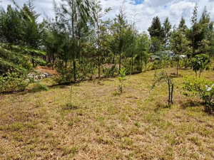 Land for sale Naivasha East Nakuru