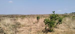 Land for sale Magarini Kilifi