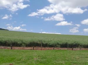 Land for sale Nanyuki Nanyuki