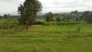 Land for sale Tigoni Limuru