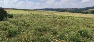 Land for sale Nakuru East Nakuru