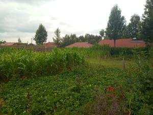 Land for sale Kitisuru Nairobi