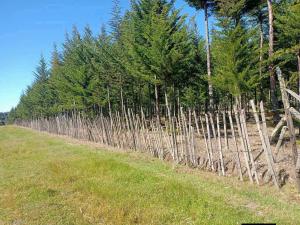 Land for sale Nyandarua Nyandarua