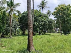 Land for sale Lunga Lunga Kwale