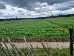 Land for sale Kipipiri Nyandarua