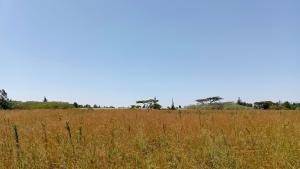 Land for sale Nyahururu Nyahururu