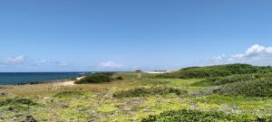 Land for sale Kilifi North Kilifi