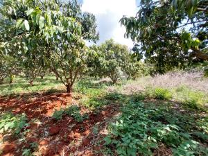 Land for sale Embu Embu
