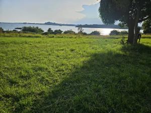 Land for sale Garuga Katabi Wakiso Central