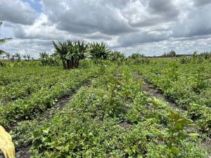 Land for sale Kisaju Kitengela