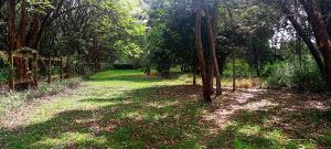 Land for sale Karen Nairobi