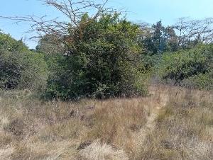 Land for sale Karen Nairobi