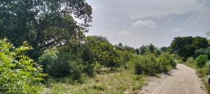 Land for sale Malindi Kilifi