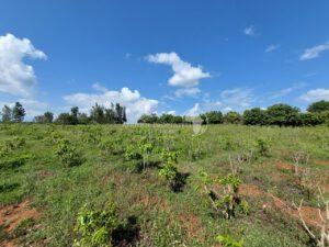 Land for sale Embu Embu