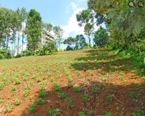 Land for sale Mangu Juja