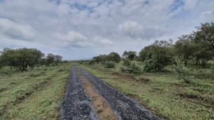 Land for sale Naivasha Kedong, 6.5km off Moi South Lake Road, next to Longonot Gates, Naivasha East Nakuru