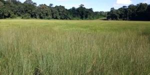 Land for sale Narok Narok