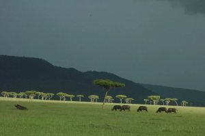 Land for sale Narok Narok