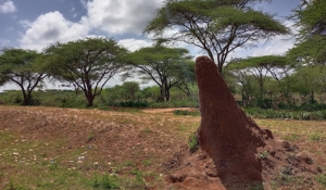 Land for sale Matapato North Kajiado
