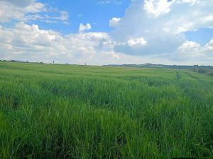 Land for sale Laikipia Laikipia