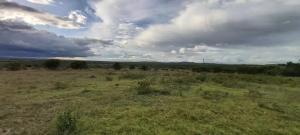 Land for sale Nanyuki Nanyuki