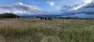 Land for sale Nanyuki Nanyuki