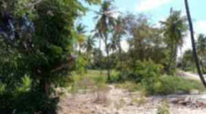 Land for sale Lamu East Lamu