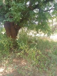 Land for sale Voi Taita-Taveta