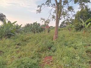Land for sale Namugongo  Kampala Central Kampala Central