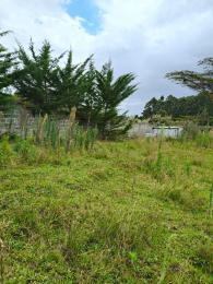 Agricultural Land for rent Kibera Nairobi
