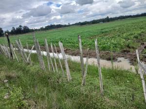 Agricultural Land for rent Thogoto Kikuyu