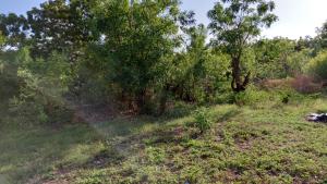 Land for sale Kilifi North Kilifi