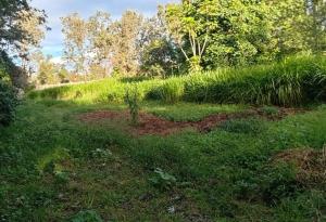 Land for sale Karen Nairobi