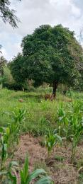 Land for sale Kilifi Kilifi