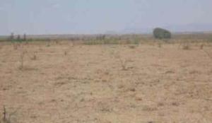 Land for sale ATHI RIVER Kisaju Kitengela